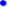 Bullet